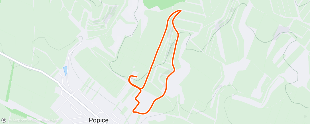 Map of the activity, Morning Run