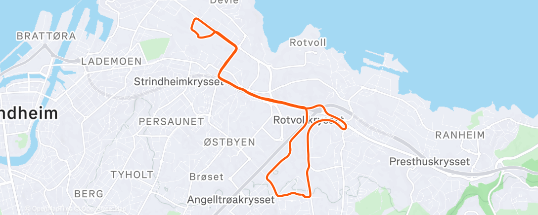 Map of the activity, Morning Run