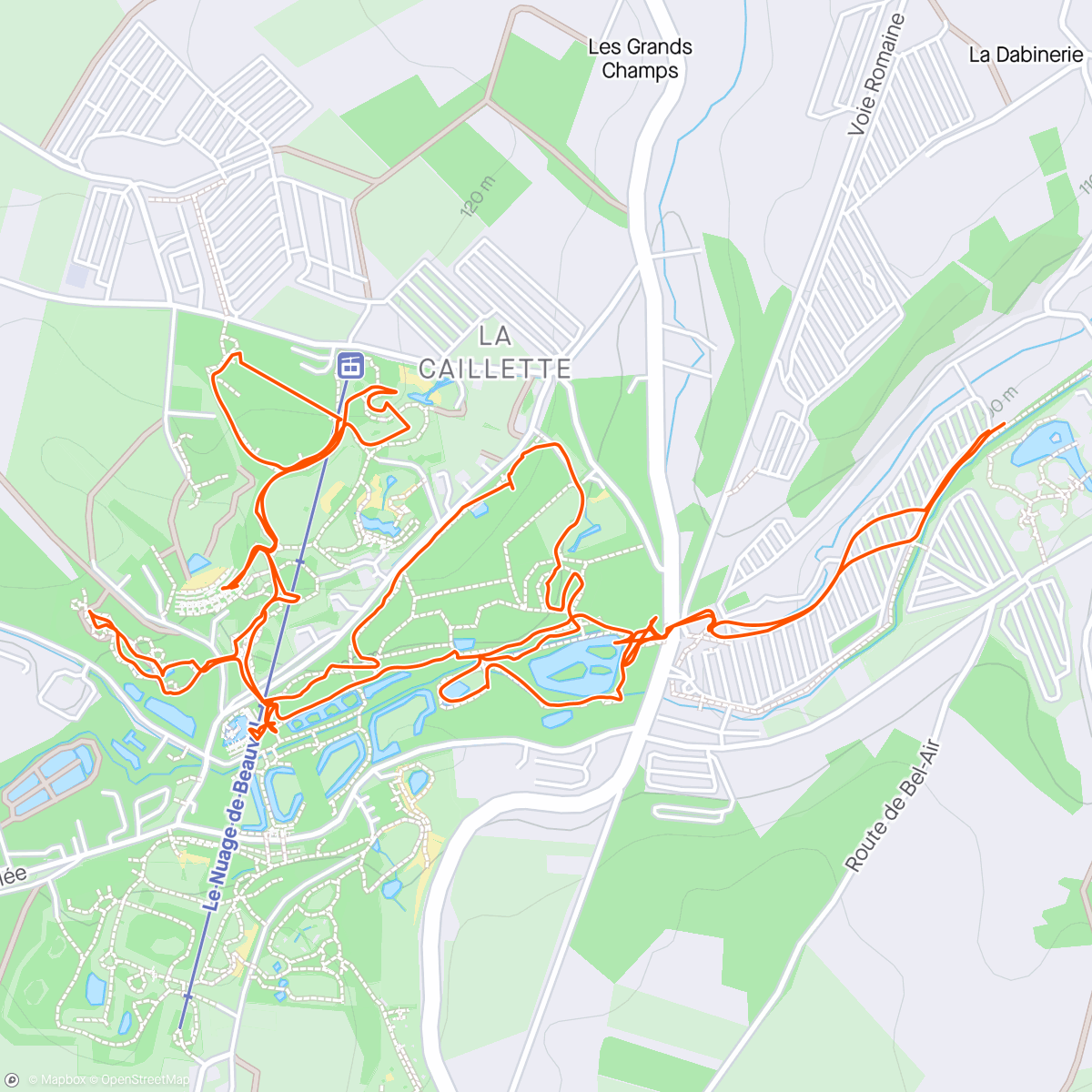 Map of the activity, Piétinage dans le Zoo Parc de Beauval