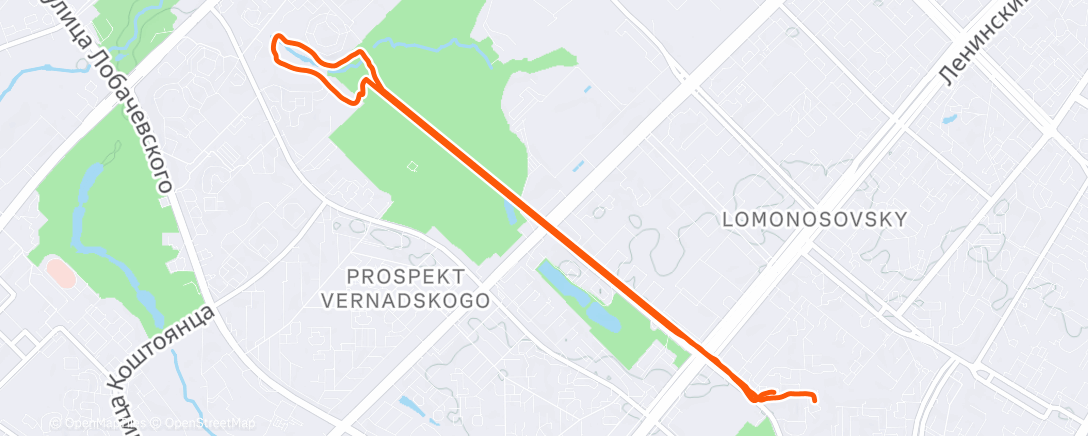 Карта физической активности (Evening Run)