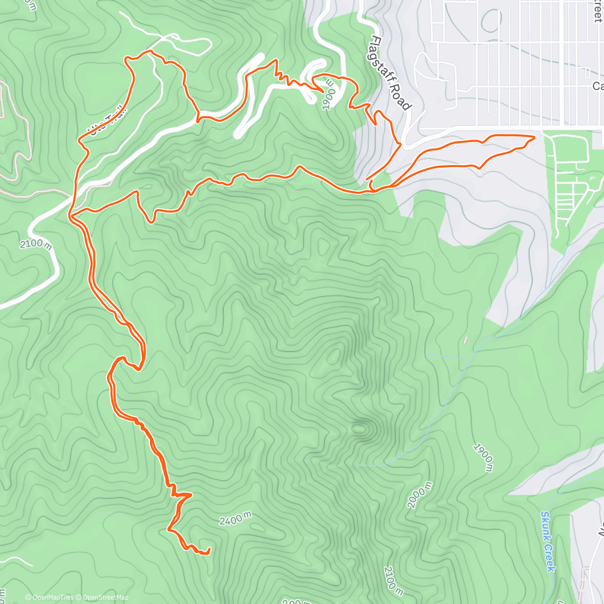 Map of the activity, Oh by golly have a holly jolly mowgmas❤️