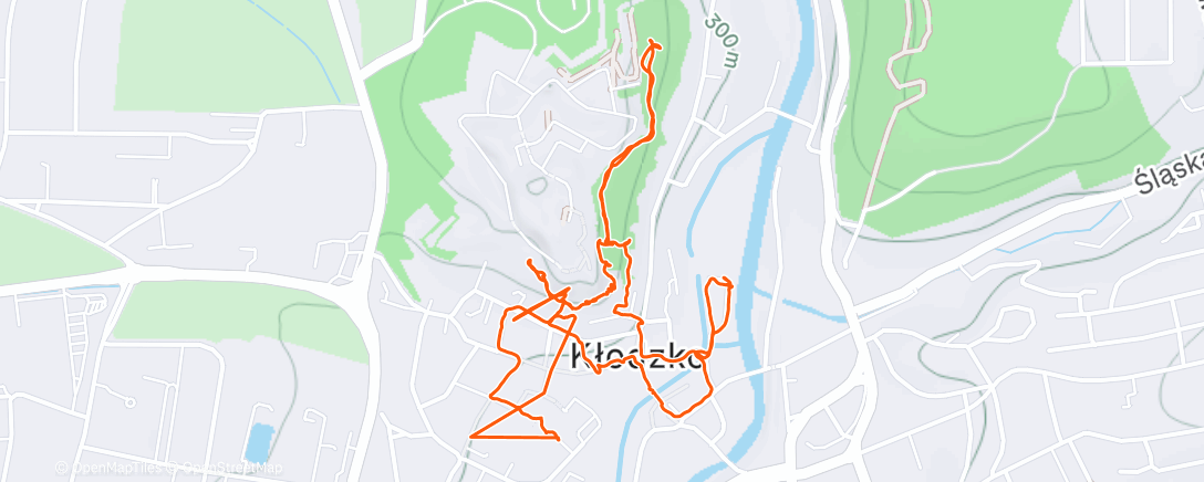 Карта физической активности (KŁODZKO CITY WALK)