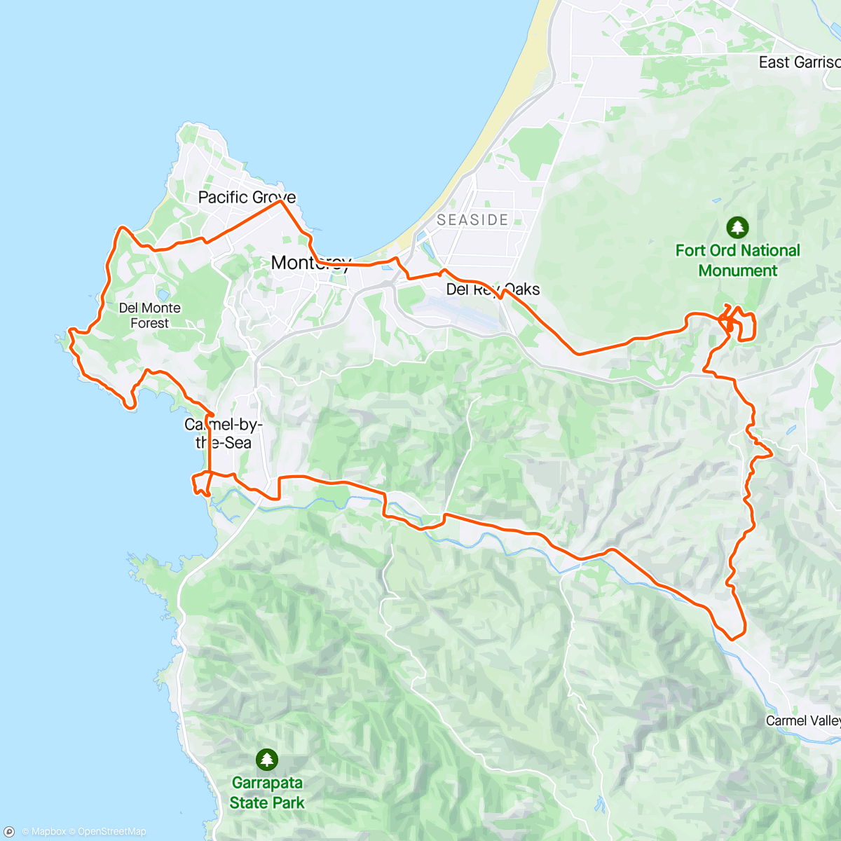 Map of the activity, 🦦