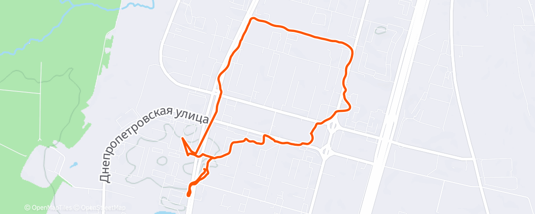 Карта физической активности (Дневная прогулка)