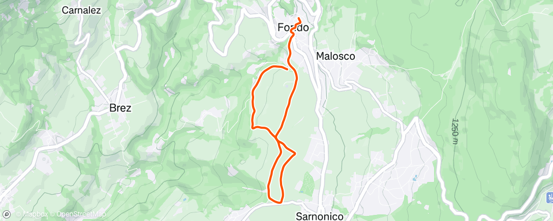 Mapa de la actividad (La Ciaspolada 🥇)