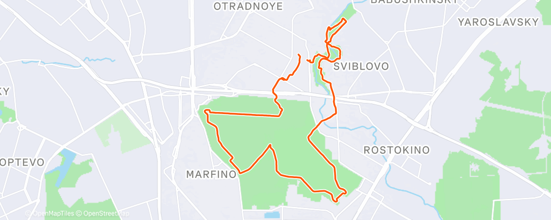 Карта физической активности (Дневной забег)