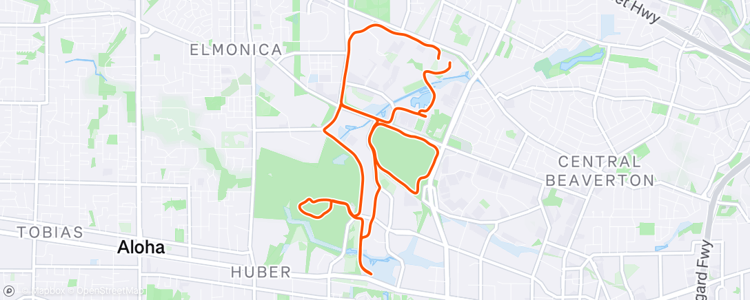 Map of the activity, Morning Run