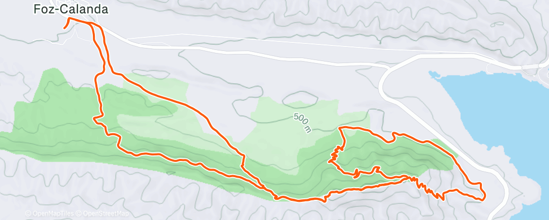 Карта физической активности (Tolocha)