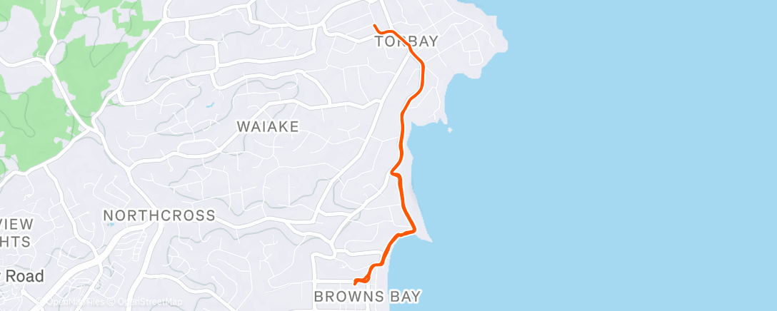 Карта физической активности (Afternoon Walk)