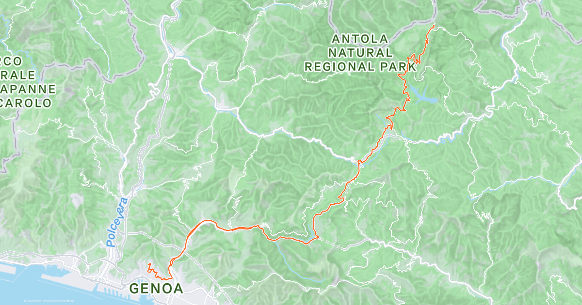 www.strava.com