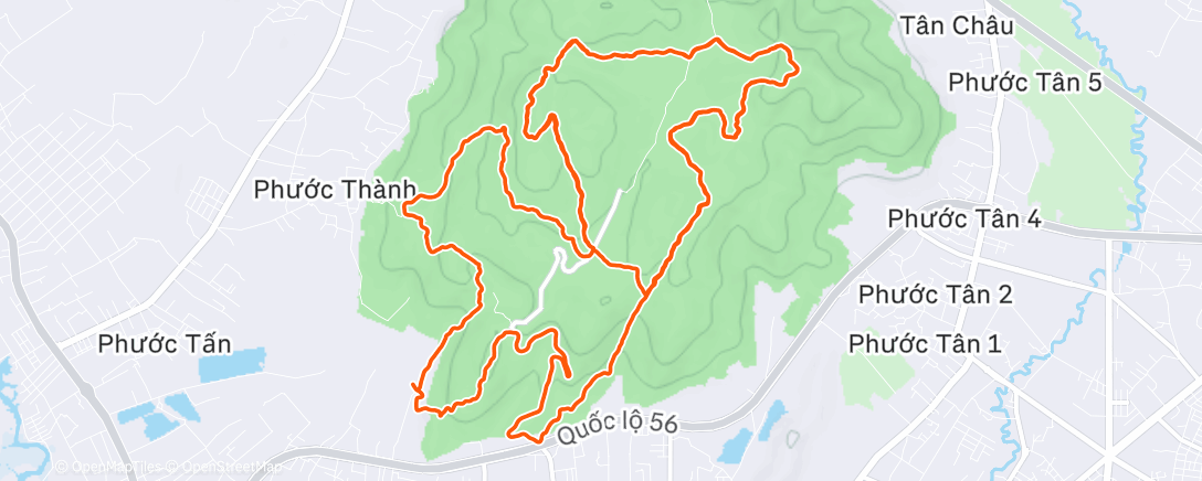 Map of the activity, Morning Trail Run