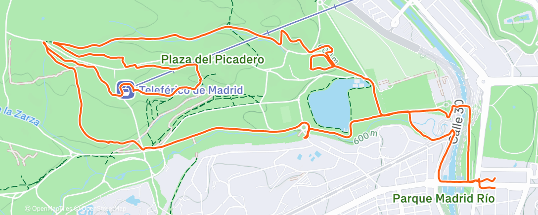 Карта физической активности (Morning Trail Run)