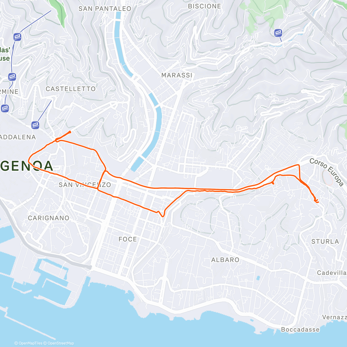 Map of the activity, Office EdS