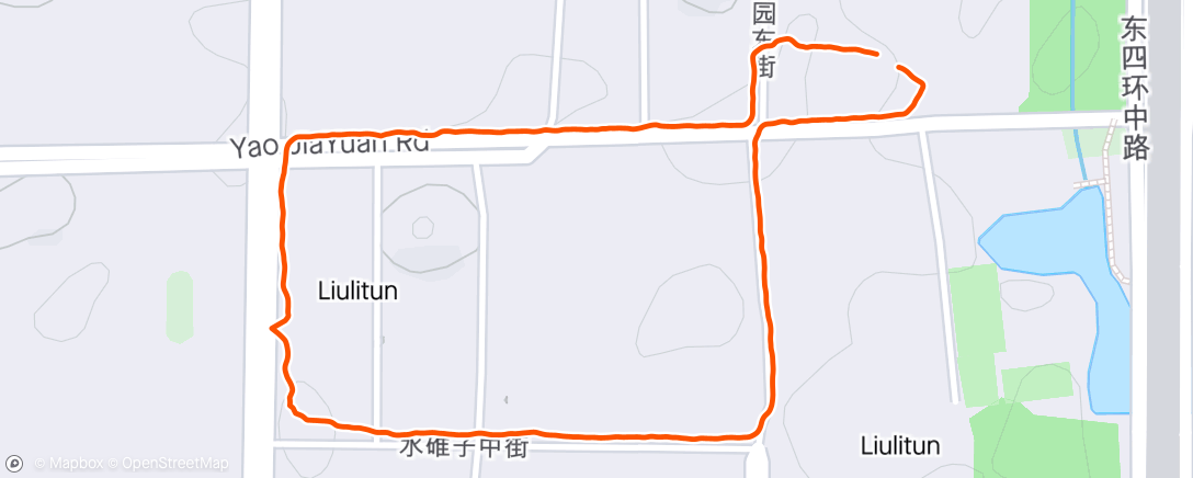 Map of the activity, 夕方のウォーキング