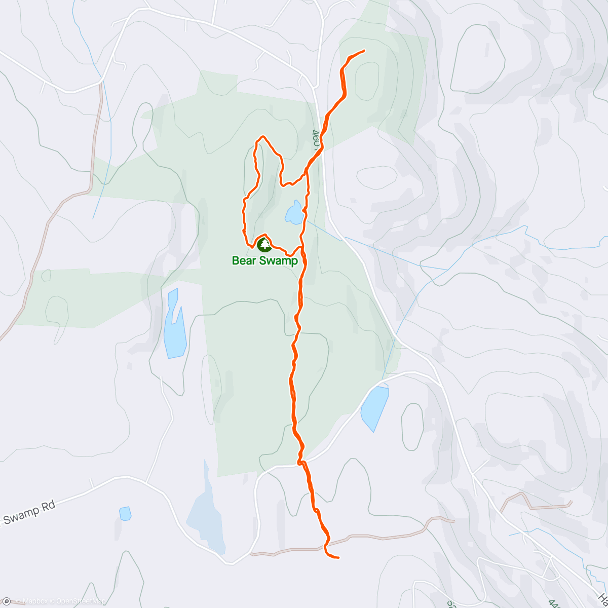 Карта физической активности (Afternoon Trail Run)