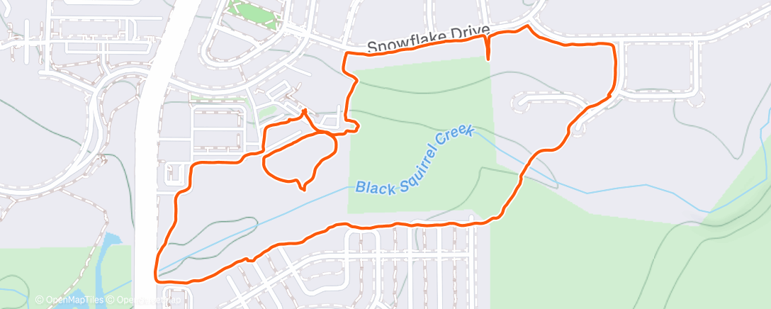 Карта физической активности (DoggoWalko)