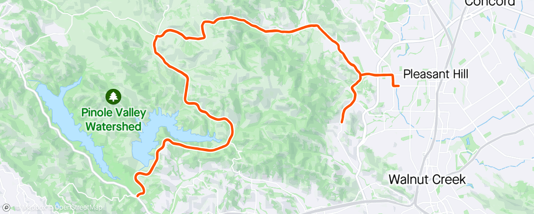 Map of the activity, Pigs and Bears