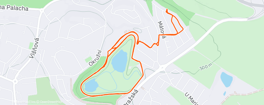 Карта физической активности (Lauf am Morgen)