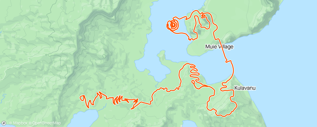 Карта физической активности (Zwift - Four Horsemen in Watopia)