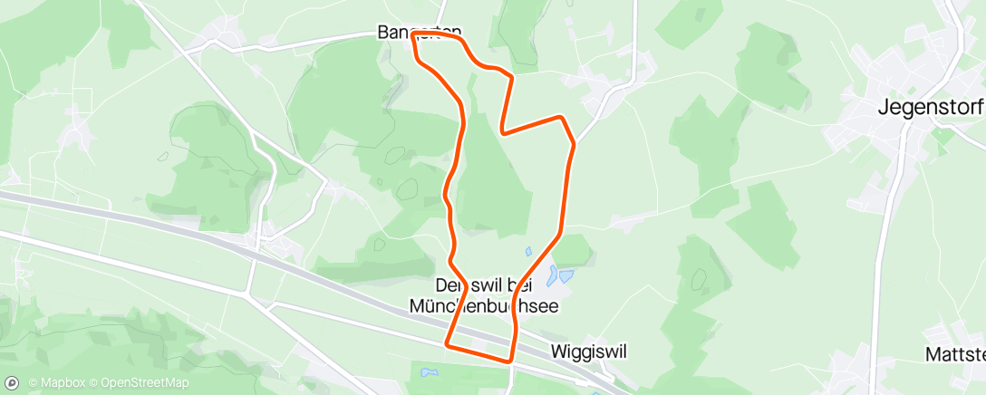 Карта физической активности (BOE race Deisswil 💦💦💦)
