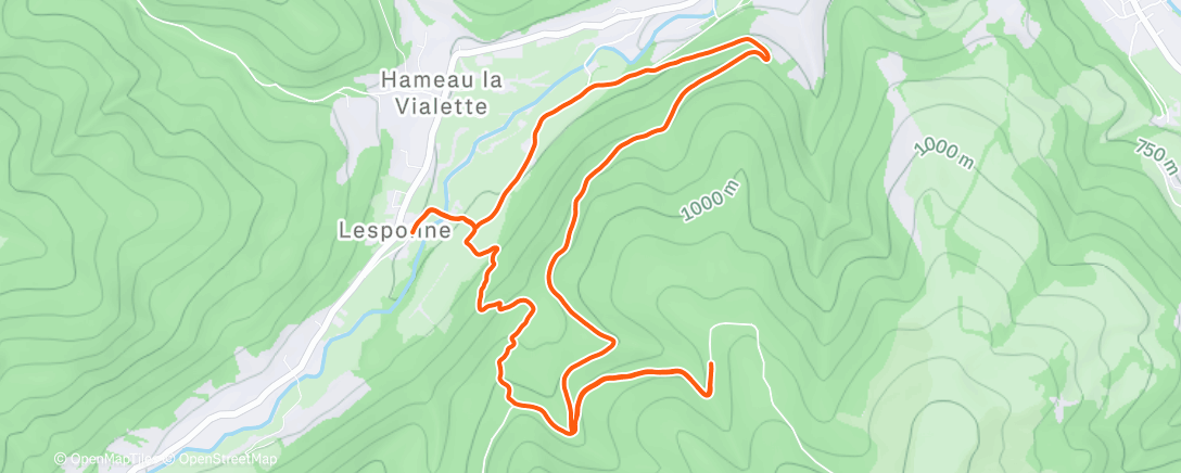 Mapa da atividade, Afternoon Trail Run