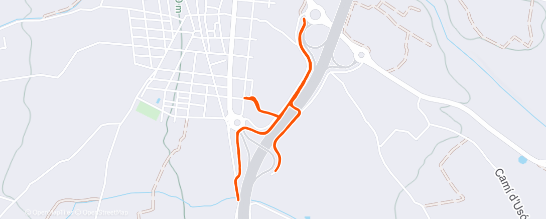 Карта физической активности (🐕🚶🏽‍♂️)