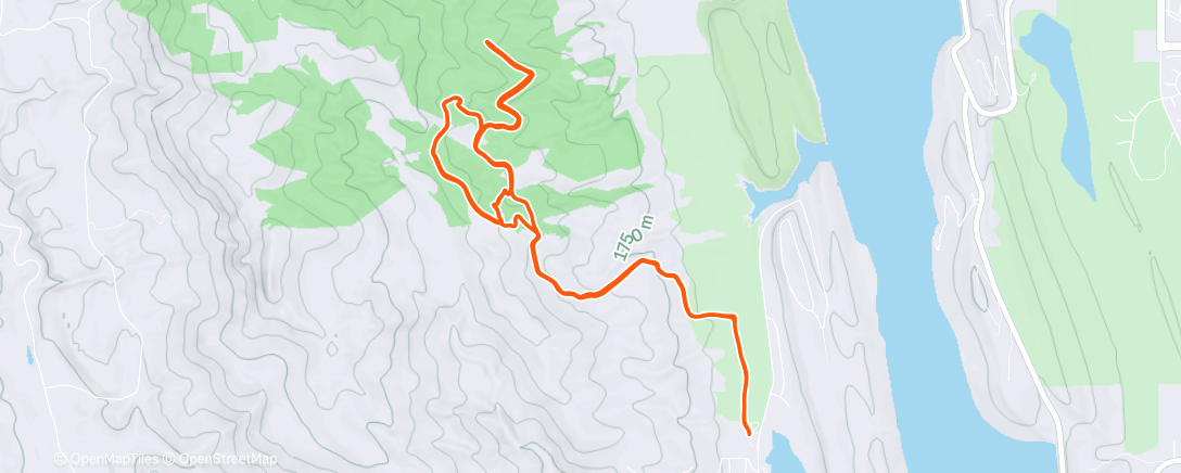 Карта физической активности (Morning Trail Run)