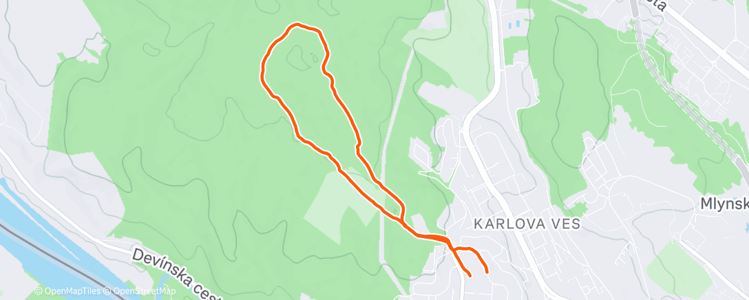 Карта физической активности (Morning Run)