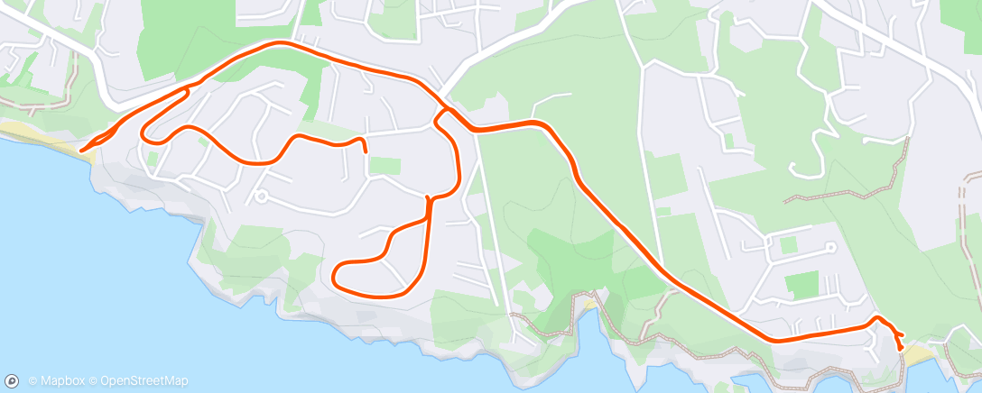 Carte de l'activité Run with Pat 😎 🏃‍♂️