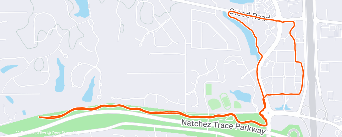 Карта физической активности (Morning Run)