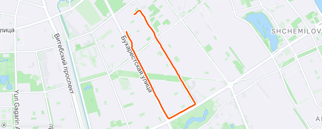 Map of the activity, Morning Run