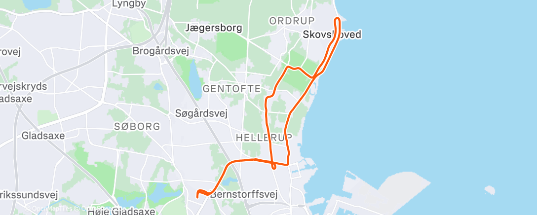 Map of the activity, Morning Run