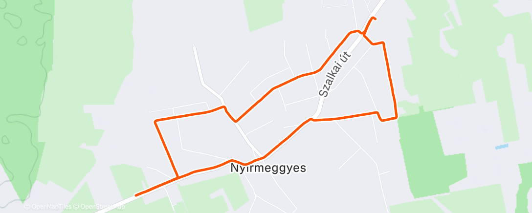 Карта физической активности (Afternoon Run)