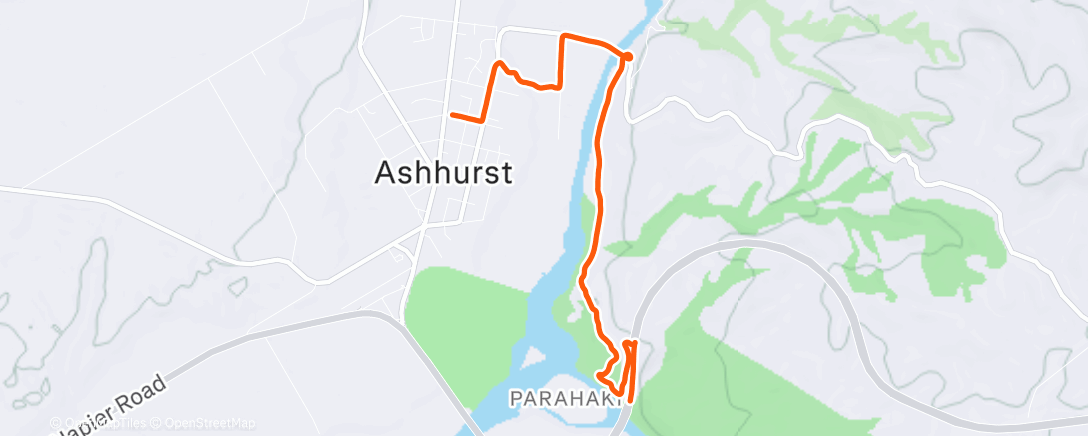 Carte de l'activité Afternoon Run