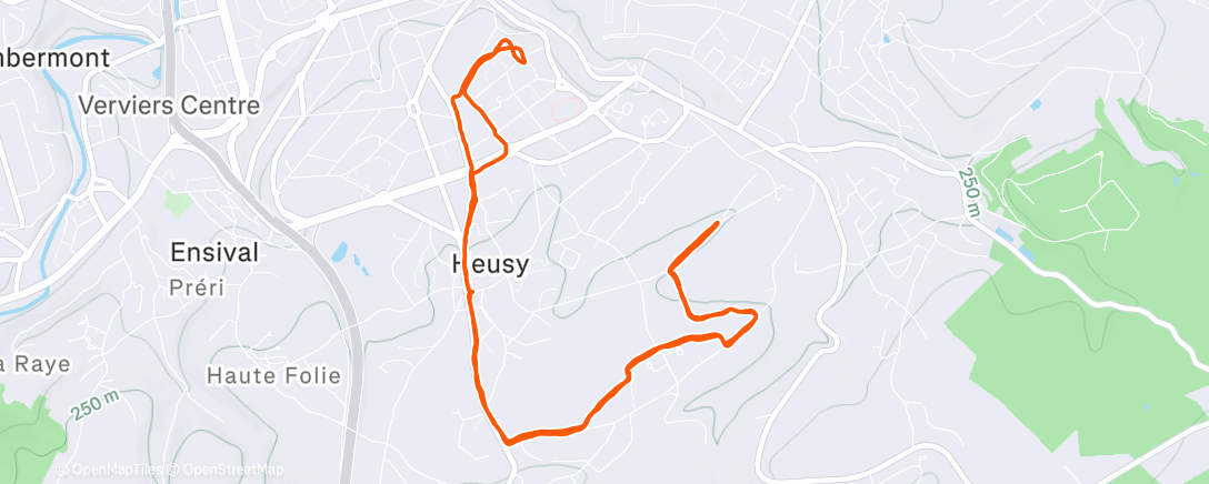 Map of the activity, Verviers - Volume 10K