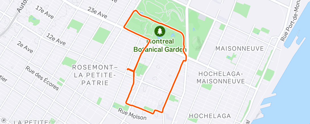 Mappa dell'attività Afternoon Run