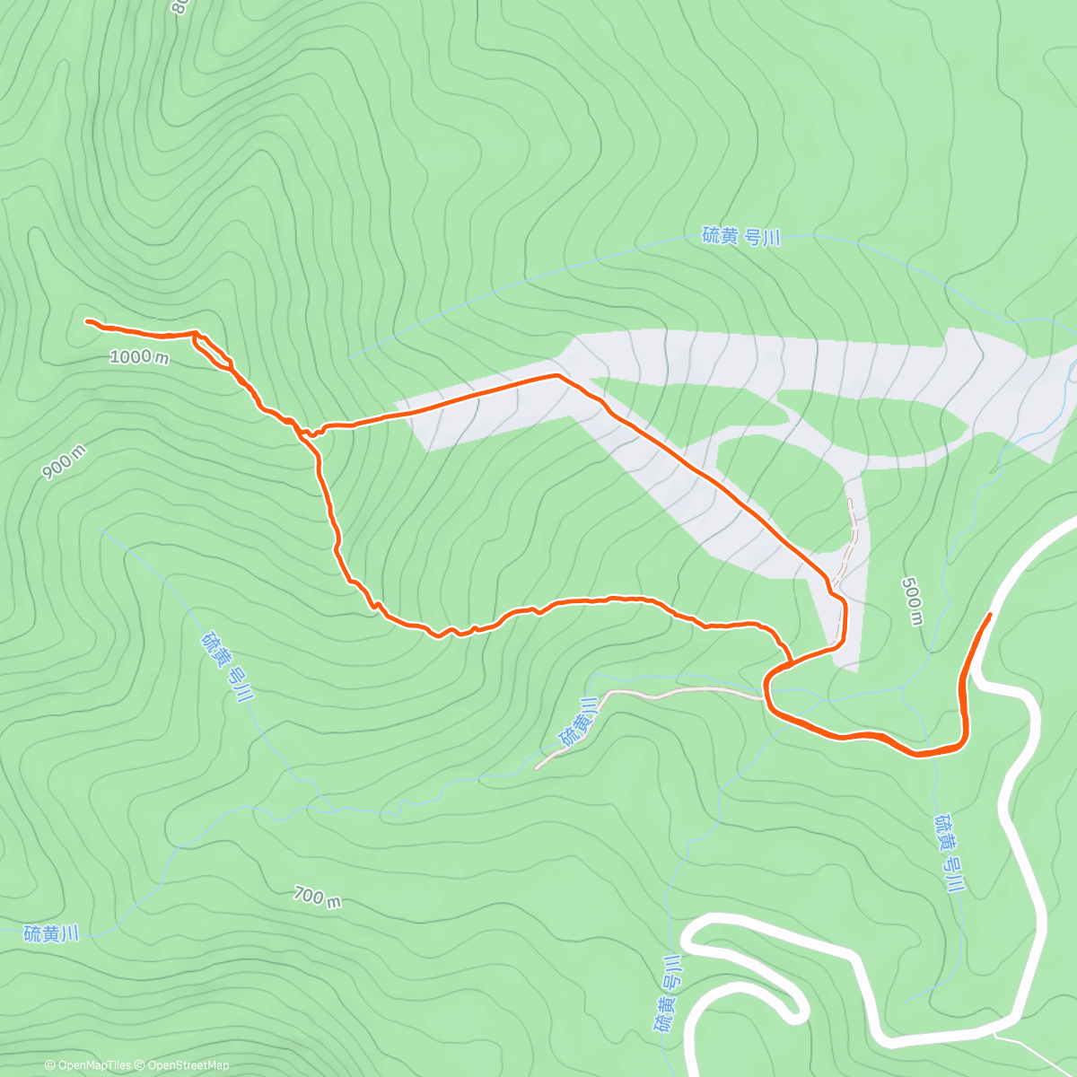 Карта физической активности (Weiss BC w/ Teto & James)