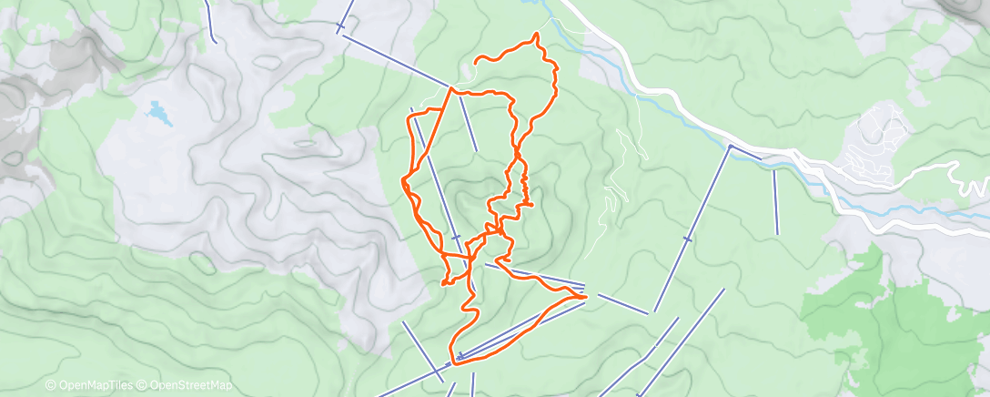 Карта физической активности (Skimo)