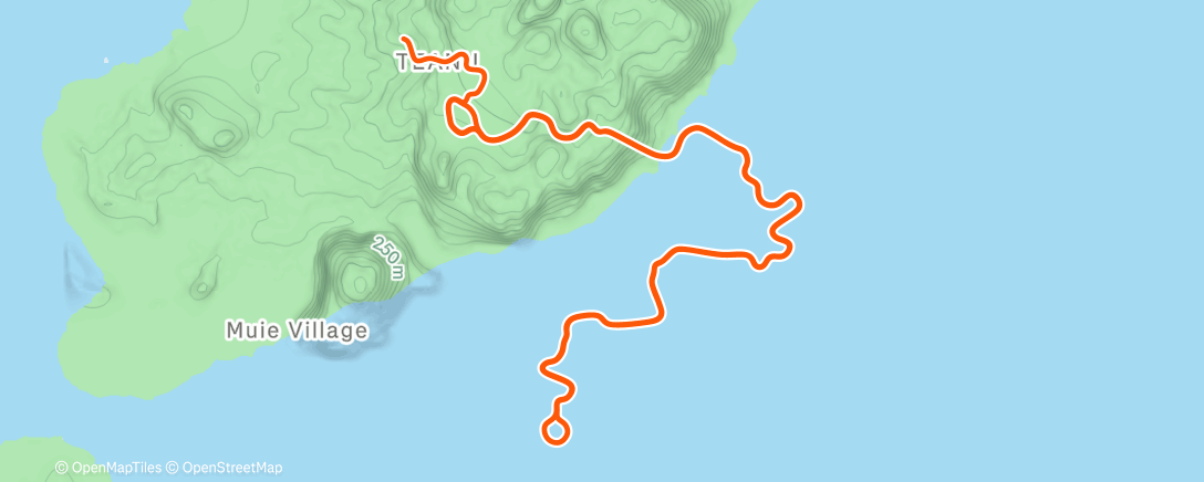 Карта физической активности (Zwift - Group Ride: FasCat’s Festive 500, Day 1 on Tempus Fugit in Watopia)