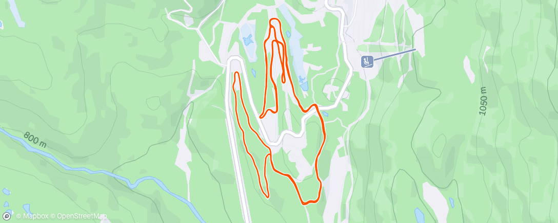 Карта физической активности (Lunch Nordic Ski)