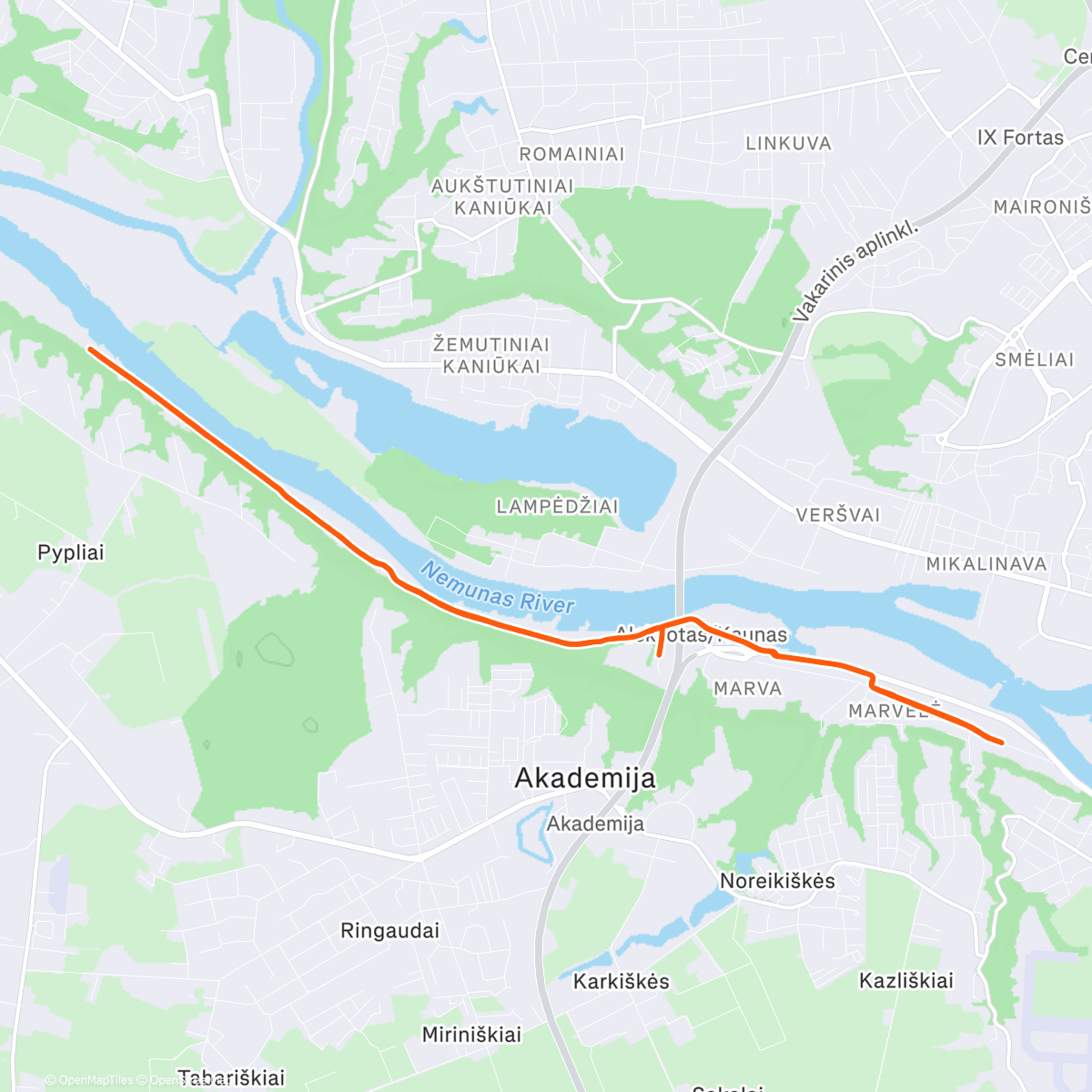 Карта физической активности (Morning Run)