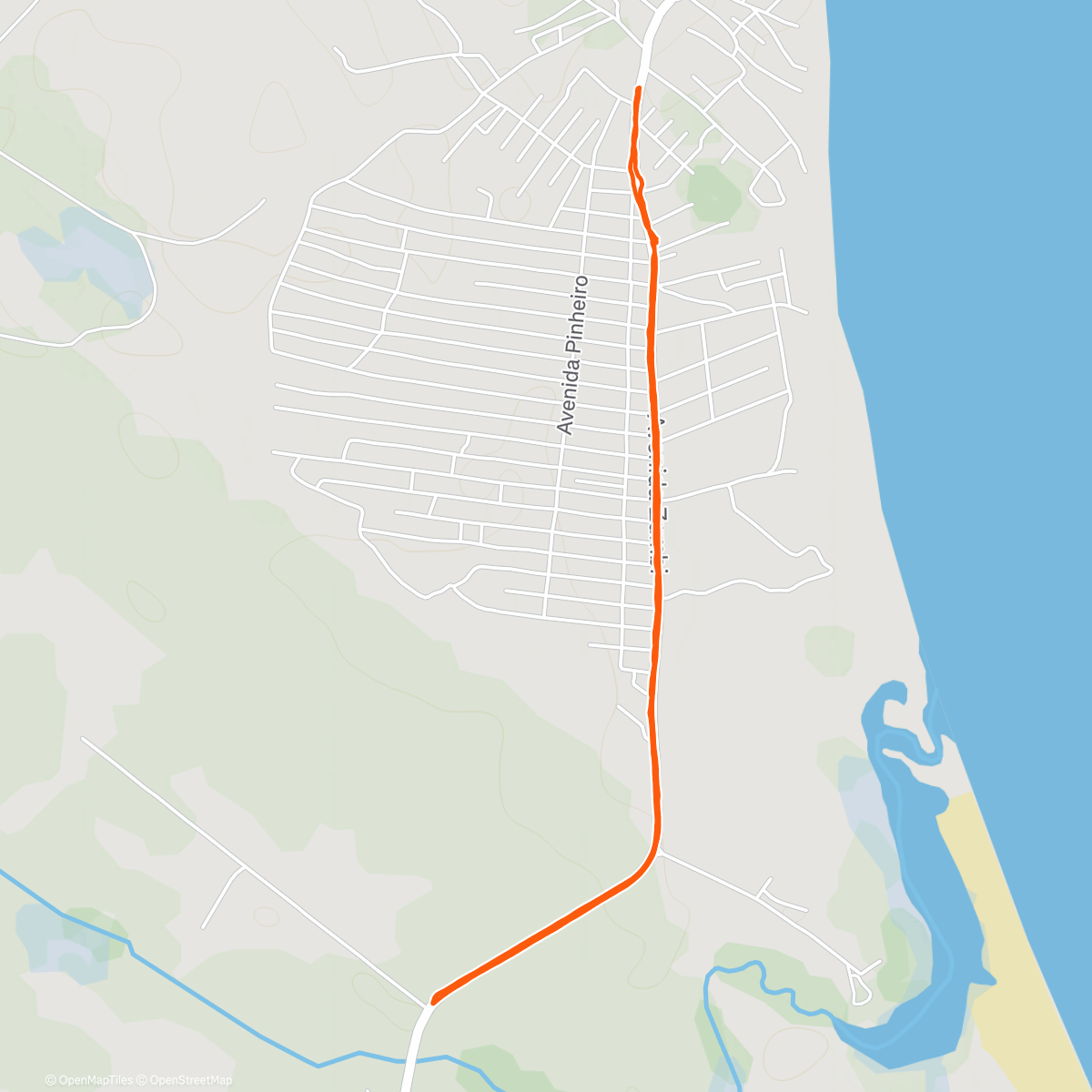Ana Dheisy Pinheiro | Strava Runner Profile