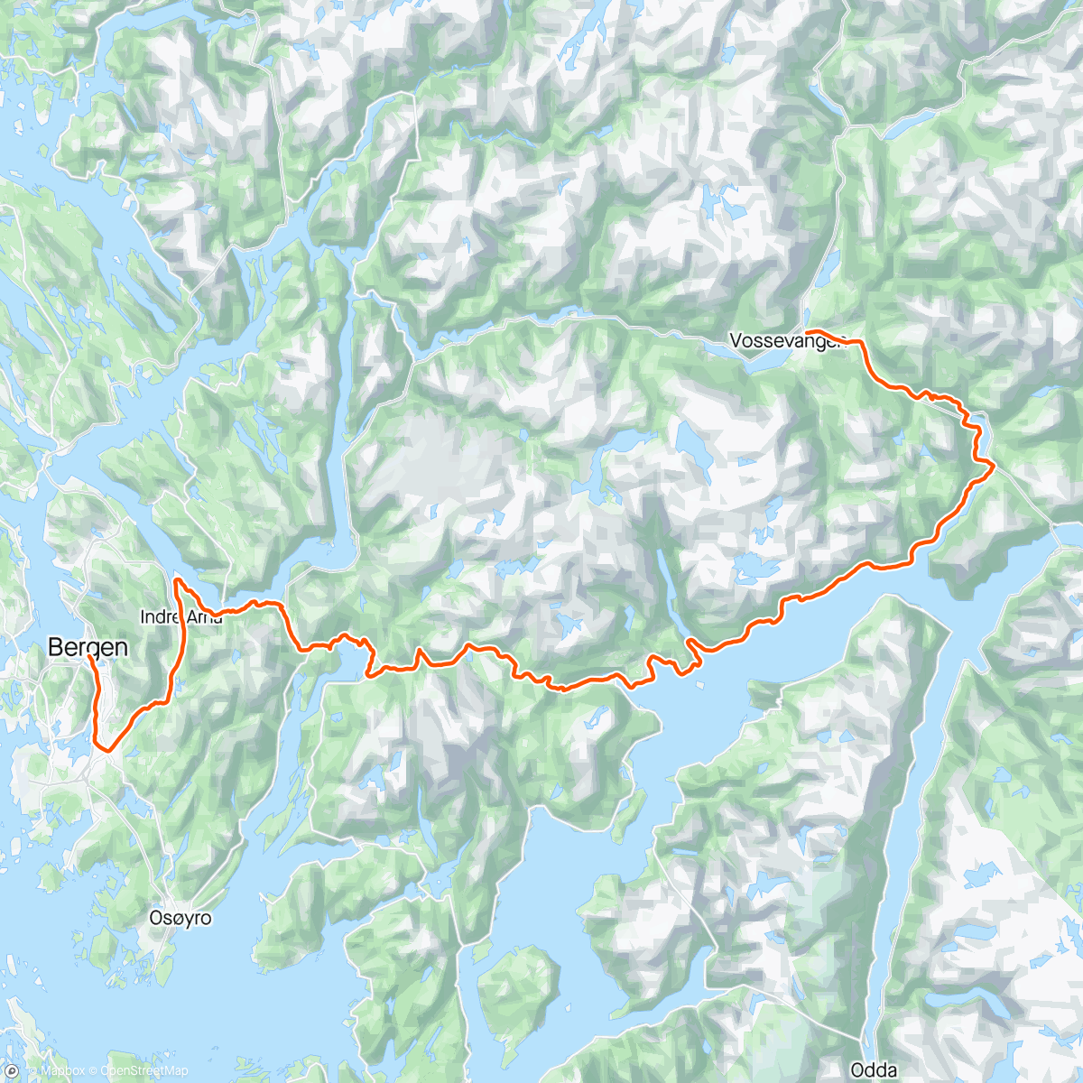 Map of the activity, Bergen Voss 2024