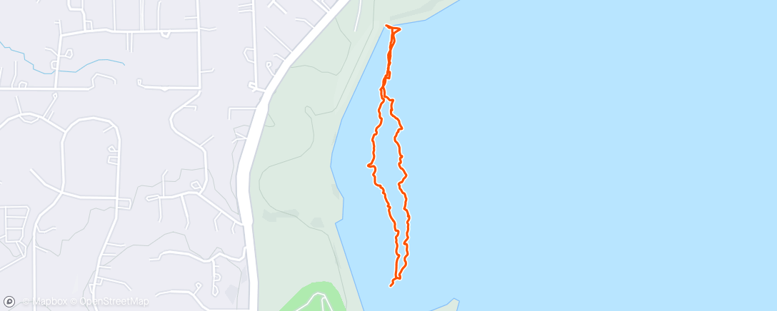 Map of the activity, Folsom Lake Swim with Ryan and Mike.  Garmin was off pace about 1:38