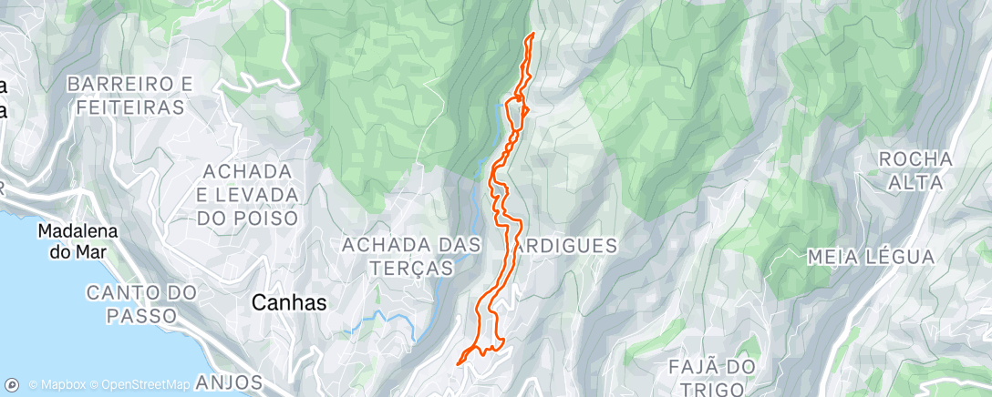 Map of the activity, Levada Nova