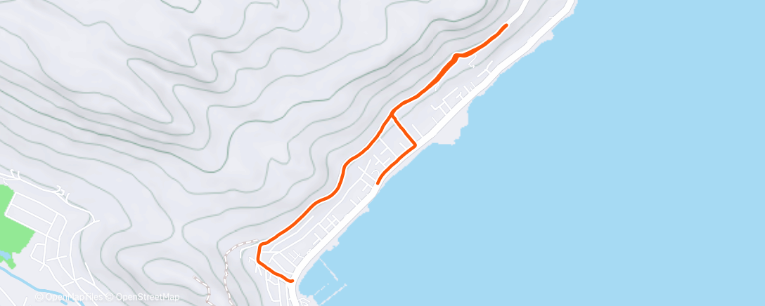 Карта физической активности (Morning Run)