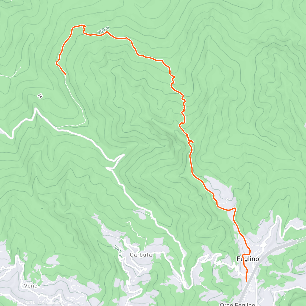 Карта физической активности (DH Man Finale)