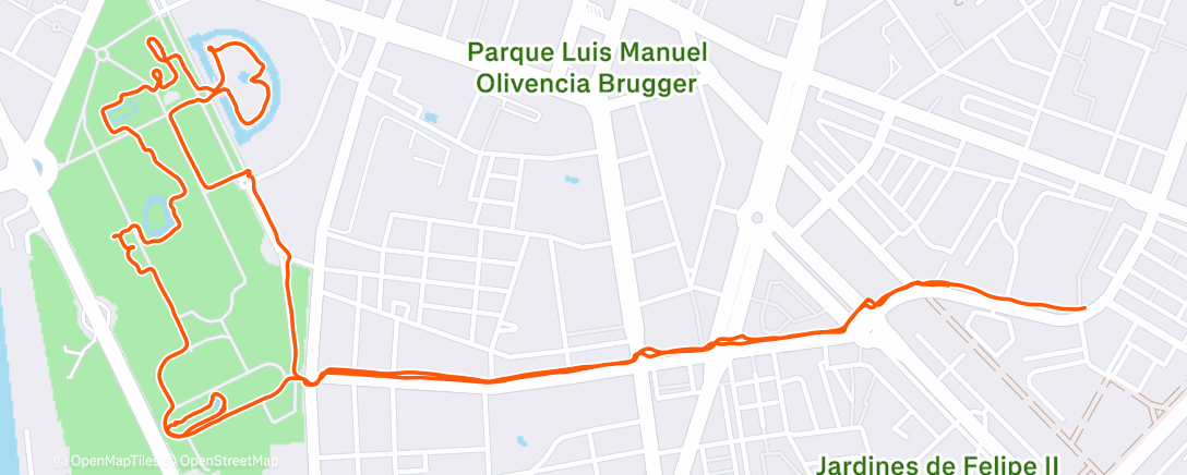 Карта физической активности (Paseo con Hugo)