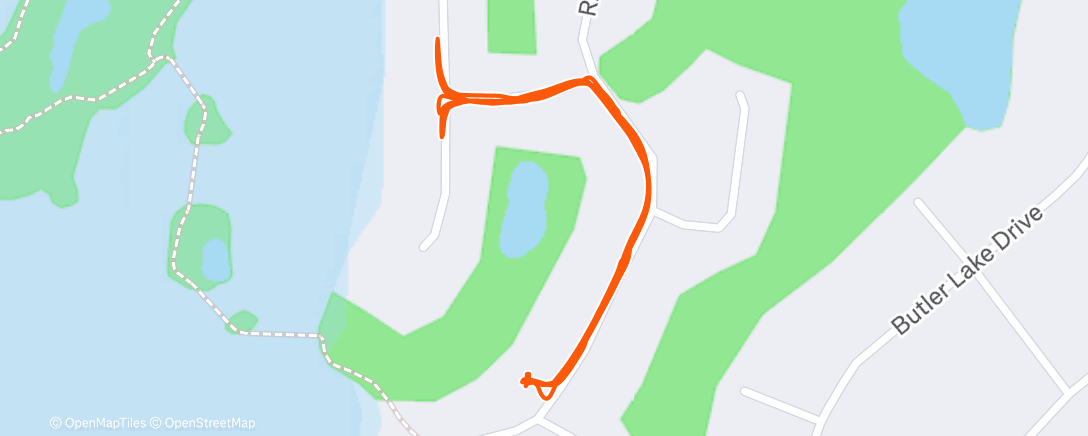 Map of the activity, The dogs walk a lot