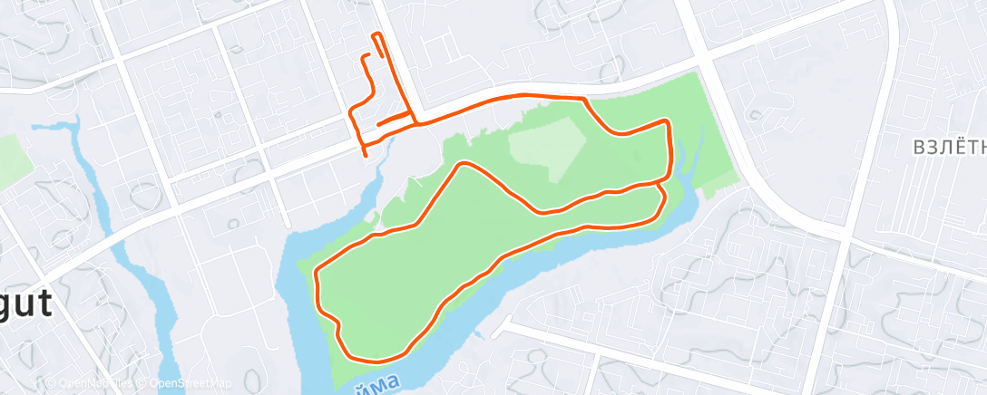 Карта физической активности (Morning Run)